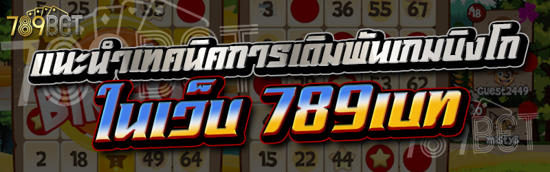 แนะนำเทคนิคการเดิมพันเกมบิงโก ในเว็บ 789เบท