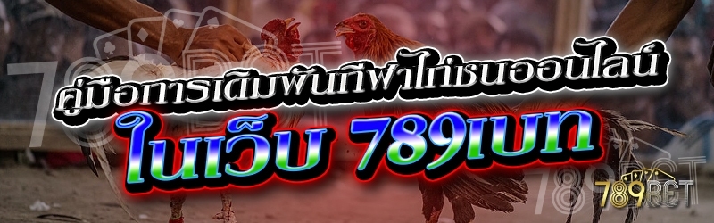 คู่มือการเดิมพันกีฬาไก่ชนออนไลน์ ในเว็บ 789เบท