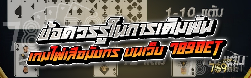 ข้อควรรู้ในการเดิมพันเกมไพ่เสือมังกร บนเว็บ 789bet