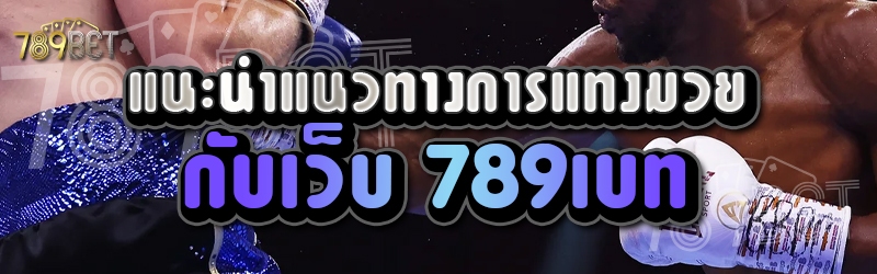 แนะนำแนวทางการแทงมวยกับเว็บ 789เบท 